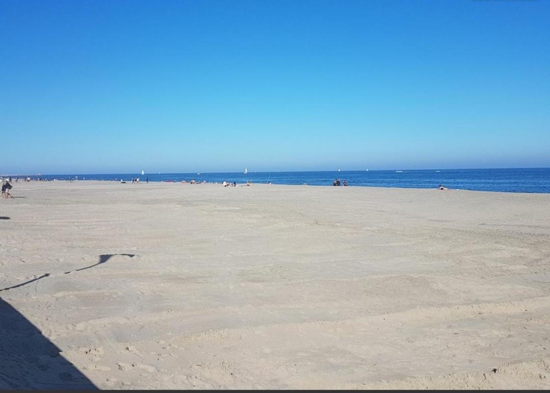 Appart Face A La Mer Les Pieds Dans L'Eau Canet-en-Roussillon Exteriör bild